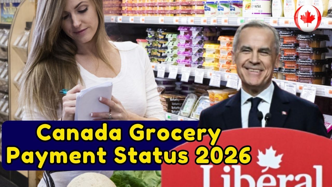 Canada Grocery Payment Status 2026: Eligibility, Amount and Payout Dates Explained
